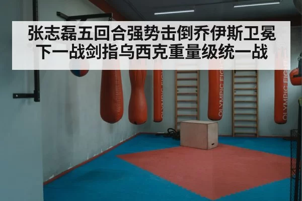 Oleksandr Usyk boxing