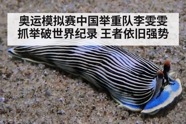 奥运模拟赛中国举重队李雯雯抓举破世界纪录 王者依旧强势